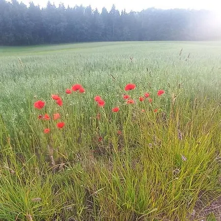 Hébergement de vacances Zawady Oleckie- Ostoja